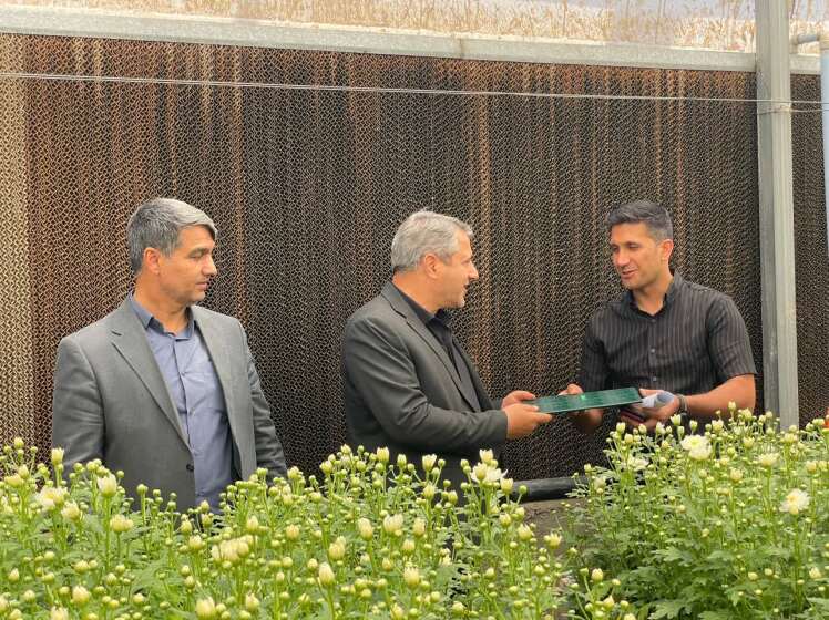 بررسی میدانی ظرفیت‌های تولید و توسعه اشتغال در بازدید فرماندار قرچک از واحدهای تولیدی و گلخانه‌ای