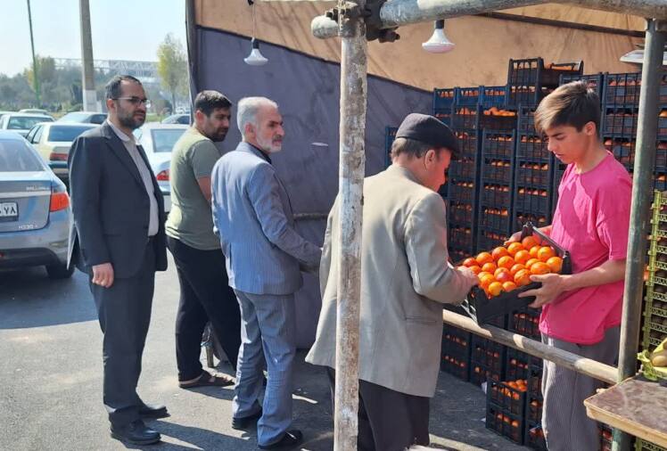 بازدید معاون برنامه ریزی فرمانداری از روند توزیع میوه در شهرستان