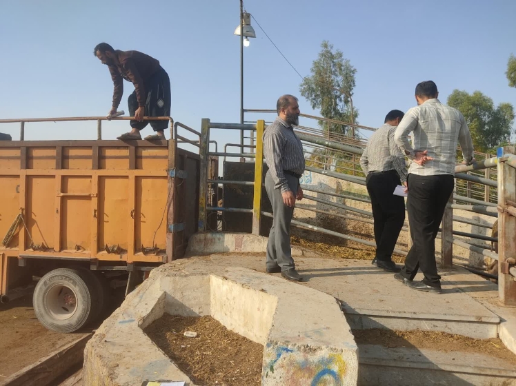 حمل دام زنده بدون اخذ گواهی بهداشتی قرنطینه دامپزشکی پیگرد قانونی دارد